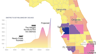 A portion of an infographic showing special districts in Florida | Erin Davis