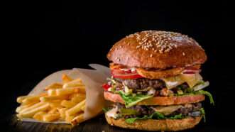 A fully-loaded burger and fries against a black backdrop. | Sergey Nazarov | Dreamstime.com