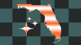 The state of Florida on a checkered background | Illustration: Lex Villena