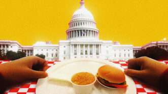 An illustration of a plated meal in front of the U.S. Capitol | Illustration: Lex Villena