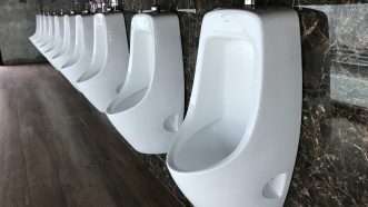 A row of urinals | Kittiphat Abhiratvorakul | Dreamstime.com