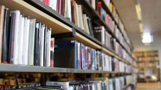 Rows of books on shelves at a school library. | Syda Productions | Dreamstime.com