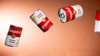 Campbell's Soup tin cans tariffs | Photo by Ben Lolli on Unsplash