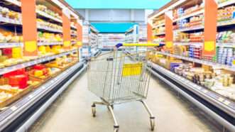An empty shopping cart in the middle of the dairy aisle of a grocery store. | Igor Bukhlin | Dreamstime.com