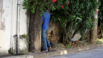 A man urinates behind a tree. | Joa Souza | Dreamstime.com