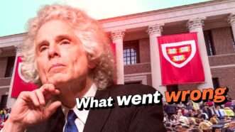 Steven Pinker outside of Harvard's campus | Illustration: Lex Villena