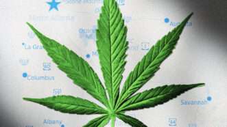 A marijuana leaf set against a map of Georgia. | Illustration: Lex Villena