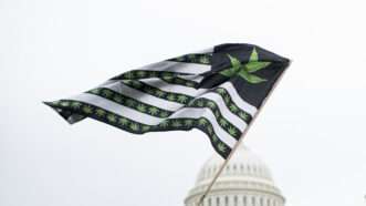 An American flag, with marijuana leaves incorporated, flies with the U.S. Capitol building in the background. | Bill Clark/CQ Roll Call/Newscom