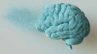 An illustration of a brain evaporating | Photo: Creative Market