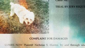 dog and lawsuit text | Illustration: Lex Villena | Reason
