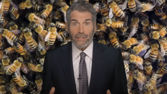 John Stossel stands in front of a swarm of bees | Stossel TV