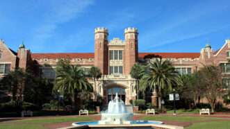 Florida State University | Photo 63518250 © Ibballin | Dreamstime.com