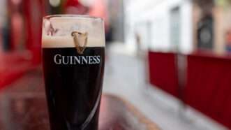 A pint glass with the Guiness logo, in a pub. | Magiorestock | Dreamstime.com