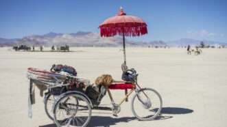 Tricycle in the desert at Burning Man | Trungdbnguyen | Dreamstime.com