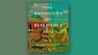 The cover art from the book "The Extinction of Experience," with pixelated art of children running. | W. W. Norton & Company