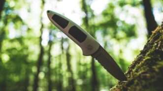 A knife sticking out of a tree log at a 45-degree angle, with a green forest background. | Photo by <a href="https://unsplash.com/@markusspiske?utm_content=creditCopyText&utm_medium=referral&utm_source=unsplash">Markus Spiske</a> on <a href="https://unsplash.com/photos/white-and-black-thermometer-in-tilt-shift-lens-jRkquHG9kuA?utm_content=creditCopyText&utm_medium=referral&utm_source=unsplash">Unsplash</a>