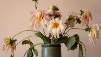 Wilted flowers in a vase against a tan background | Photo by Earl Wilcox on Unsplash