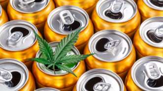 Aluminum beer cans from above, with a marijuana leaf on one. | DPST/Newscom