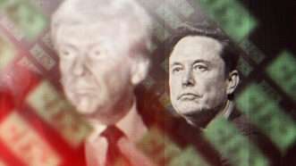 Elon Musk in the background, with President-elect Donald Trump fuzzy in the foreground, amid a backdrop of American money. | Illustration: Lex Villena, Matt Bishop SPACE  MEGA Newscom CFSAN,  Wcamp9 (CC BY 4.0)