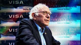 Sen. Bernie Sanders (I–Vt.) against the backdrop of U.S. visas. | Illustration: Lex Villena; Jeff M. Brown/ZUMAPRESS/Newscom; Alexugalek | Dreamstime.com