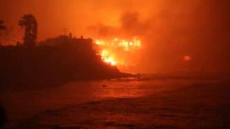 A home consumed by flames in the Pacific Palisades area of Los Angeles, California. | Atlas Photo Archive/Cal Fire / Avalon/Newscom