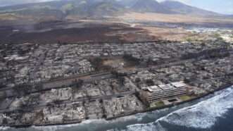 An aerial shot of the Maui wildfire destruction |  Kevin Fujii/ZUMAPRESS/Newscom