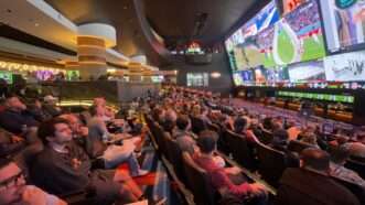 People sit in theater-like seating in front of many different screens showing various sports. | MEGA / Newscom/BPLAS2/Newscom