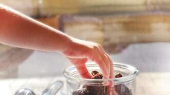 A child's hand reaching into a cookie jar and pulling out a brownie. | Irina Berenshteyn | Dreamstime.com