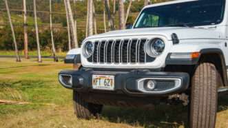 White Jeep with Hawaii License Plate Parked Among Palm Trees. | ID 359774598 © Alexkane1977vi | Dreamstime.com