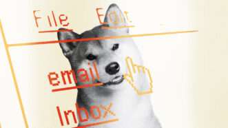 DOGE meme dog in the background in black and white against a yellow and white background with digital text symbolizing an email inbox across the image | Lex Villena; Seregraff