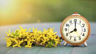 An alarm clock and yellow flowers. | Reddogs | Dreamstime.com