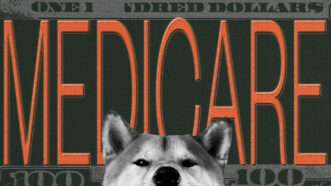 A U.S. 0 bill with the word "MEDICARE" in orange lettesr across it. A corgi, like the one from the "doge" meme, peeks up into view. | Illustration: Lex Villena; Seregraff | Dreamstime.com