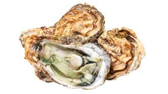 oysters | Photo: Perfectfood/iStock