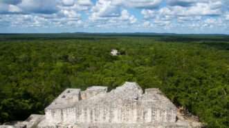 A stone structure in a thick jungle | Photo: Maya archaeological site in Calakmul, Mexico; Philip Dumas/Getty