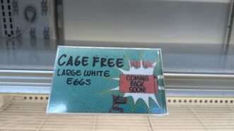 Sign advertising cage free eggs | Lindsey Nicholson/UCG/Universal Images Group/Newscom