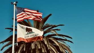 American flag and California flag | Photo by <a href="https://unsplash.com/@lnicolern?utm_content=creditCopyText&utm_medium=referral&utm_source=unsplash">Lesli Whitecotton</a> on <a href="https://unsplash.com/photos/a-flag-on-a-palm-tree-n9tDI9ZhbtQ?utm_content=creditCopyText&utm_medium=referral&utm_source=unsplash">Unsplash</a>       