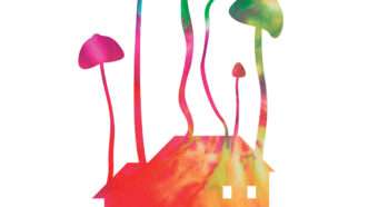 An illustration of psilocybin mushrooms | Illustration: Joanna Andreasson