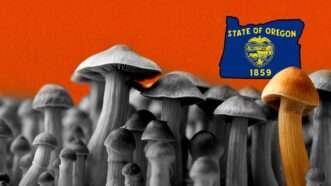 Mushrooms in front of an orange background with the outline of Oregon | Illustration: Eddie Marshall | Yar Photographer | Dreamstime.com | ChatGPT