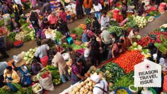 People buying and selling vegetables at a market in Guatemala is seen from above | robertharding/Alamy