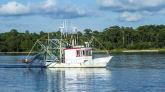 A fishing boat at sea | ID 50066006 ©  Meinzahn | Dreamstime.com