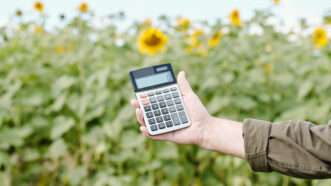 A farmer's outstretched hand holds a calculator with a zero in the data field, against the backdrop of a field of sunflowers. | Pressmaster | Dreamstime.com