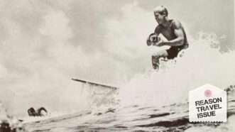 minisLEAD | Endless Summer/Cinema V Distributing