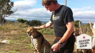 Ron Bailey petting a cheetah | Photo: Pamela Friedman