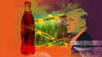 President Donald Trump alongside a bottle of Coca-Cola, and a field of sugarcane with tape across it that says "TARIFFS." | Illustration: Eddie Marshall | Viktorfischer | Ittipon | Dreamstime.com | Midjourney