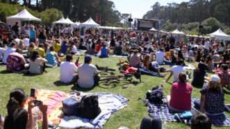 People sit on the grass during an outdoor concert in a park. | Joe Lapp | Dreamstime.com