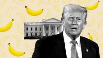 President Donald Trump with a photo of the White House behind him. Images of bananas are in the background. | Illustration: Eddie Marshall | Will Oliver | Pool via CNP | CNP | Polaris | Newscom | Ahdrum | Dreamstime.com | ChatGPT