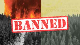 A burning forest on the left, a normal forest on the right, and the word BANNED across the entire image in red | Illustration: Eddie Marshall | Chris Dorney | Marcio Silva | Dreamstime.com | Midjourney
