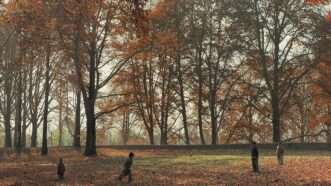 A field surrounded by trees with small children playing |  imageBROKER/dad fotos/Newscom