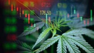 Marijuana leaves and the stock market. | Engdao Wichitpunya | Dreamstime.com