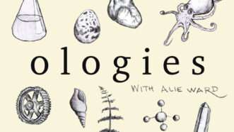 minis_ologies | Ologies Podcast
